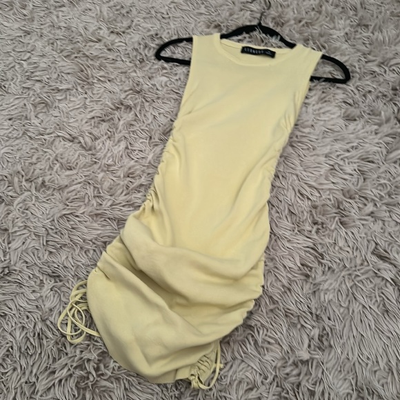 Lioness military minds mini - Picture 2 of 3